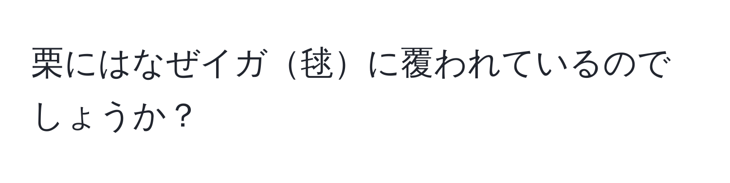 栗にはなぜイガ毬に覆われているのでしょうか？