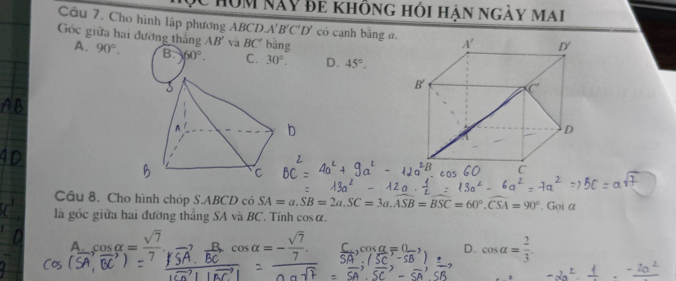 HồM NàY đẻ không hồi hận ngày mai
Câu 7. Cho hình lập phương A BCD.A'B'C'D' có cạnh băng a.
Góc giữa hai đường thắng AB' và BC' bāng
B. 60°.
A. 90°. D. 45°.
C. 30°.
Câu 8. Cho hình chóp S.ABCD có SA=a.SB=2a.SC=3a.ASB=BSC=60°.CSA=90°. Gọi α
là góc giữa hai đường thẳng SA và BC. Tính cosα.
A. cos alpha = sqrt(7)/7 . cos alpha =- sqrt(7)/7 . C. cos alpha =0_ , D. cos alpha = 2/3 .