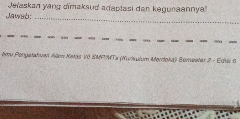 Jelaskan yang dimaksud adaptasi dan kegunaannya! 
Jawab: 
llmu Pengetahuan Alam Kelas VII SMP/MTs (Kurikulum Merdeka) Semester 2 - Edisi 6