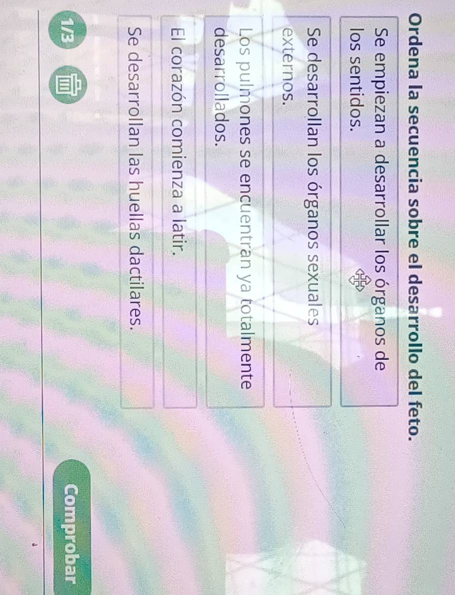 Ordena la secuencia sobre el desarrollo del feto.
Se empiezan a desarrollar los órganos de
los sentidos.
Se desarrollan los órganos sexuales
externos.
Los pulmones se encuentran ya totalmente
desarrollados.
El corazón comienza a latir.
Se desarrollan las huellas dactilares.
1/3 Comprobar