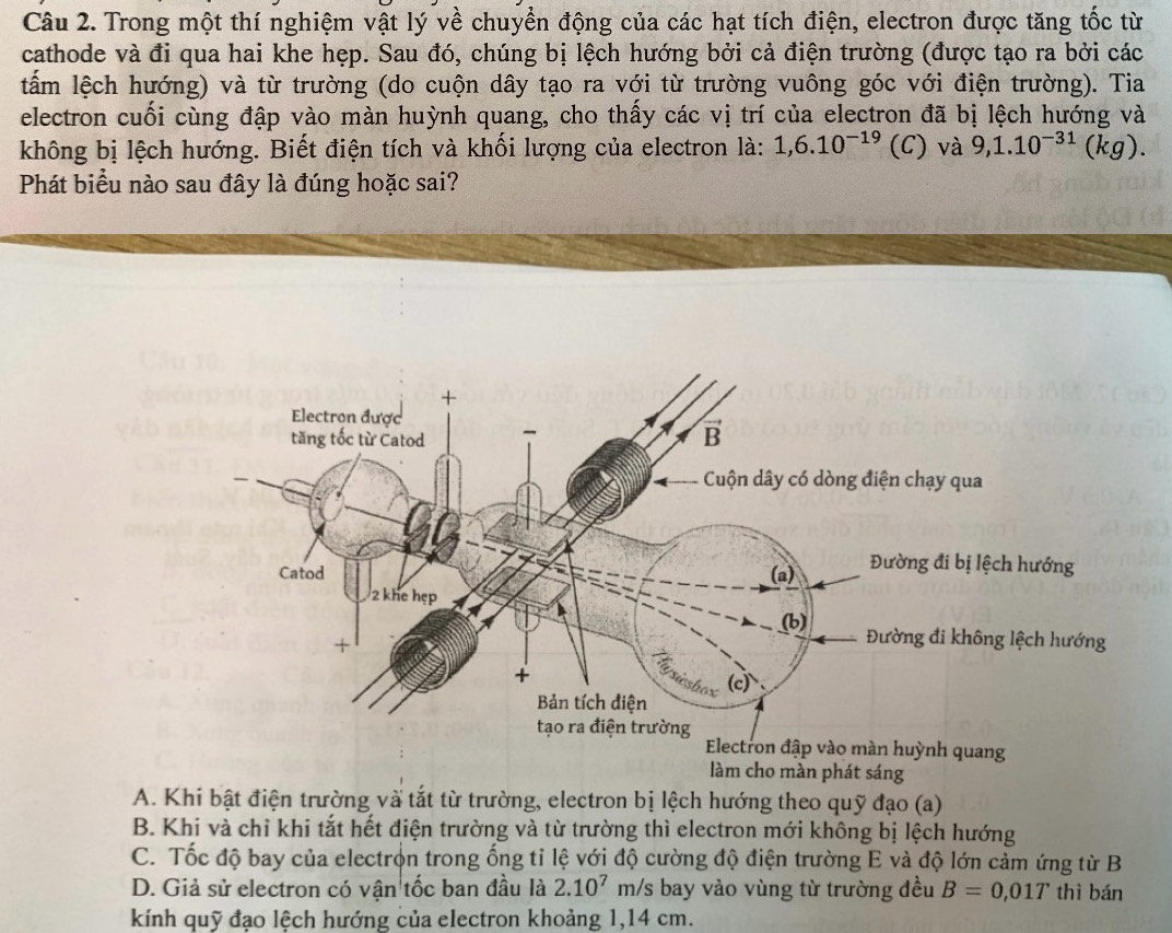 Trong một thí nghiệm vật lý về chuyển động của các hạt tích điện, electron được tăng tốc từ
cathode và đi qua hai khe hẹp. Sau đó, chúng bị lệch hướng bởi cả điện trường (được tạo ra bởi các
lấm lệch hướng) và từ trường (do cuộn dây tạo ra với từ trường vuông góc với điện trường). Tia
electron cuối cùng đập vào màn huỳnh quang, cho thấy các vị trí của electron đã bị lệch hướng và
không bị lệch hướng. Biết điện tích và khối lượng của electron là: 1, 6.10^(-19) (C) và 9, 1.10^(-31)(kg). 
Phát biểu nào sau đây là đúng hoặc sai?
làm cho màn phát sáng
A. Khi bật điện trường và tắt từ trường, electron bị lệch hướng theo quỹ đạo (a)
B. Khi và chỉ khi tắt hết điện trường và từ trường thì electron mới không bị lệch hướng
C. Tốc độ bay của electrọn trong ống tỉ lệ với độ cường độ điện trường E và độ lớn cảm ứng từ B
D. Giả sử electron có vận tốc ban đầu là 2.10^7 m/s bay vào vùng từ trường đều B=0,01T thì bán
kính quỹ đạo lệch hướng của electron khoảng 1,14 cm.