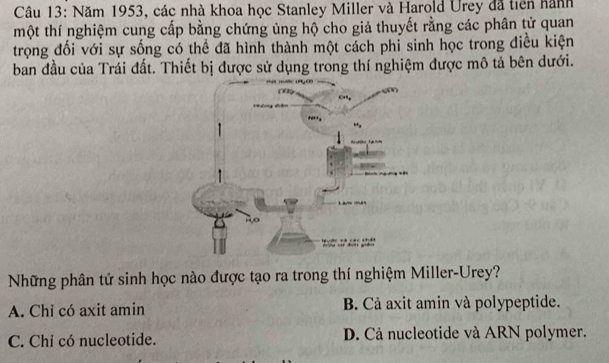 Năm 1953, các nhà khoa học Stanley Miller và Harold Urey đã tiên hành
một thí nghiệm cung cấp bằng chứng ủng hộ cho giả thuyết rằng các phân tử quan
trọng đối với sự sống có thể đã hình thành một cách phi sinh học trong điều kiện
ban đầu của Trái đất. Thiết bị được sử dụng trong thí nghiệm được mô tả bên dưới.
Những phân tử sinh học nào được tạo ra trong thí nghiệm Miller-Urey?
A. Chỉ có axit amin B. Cả axit amin và polypeptide.
C. Chỉ có nucleotide. D. Cả nucleotide và ARN polymer.