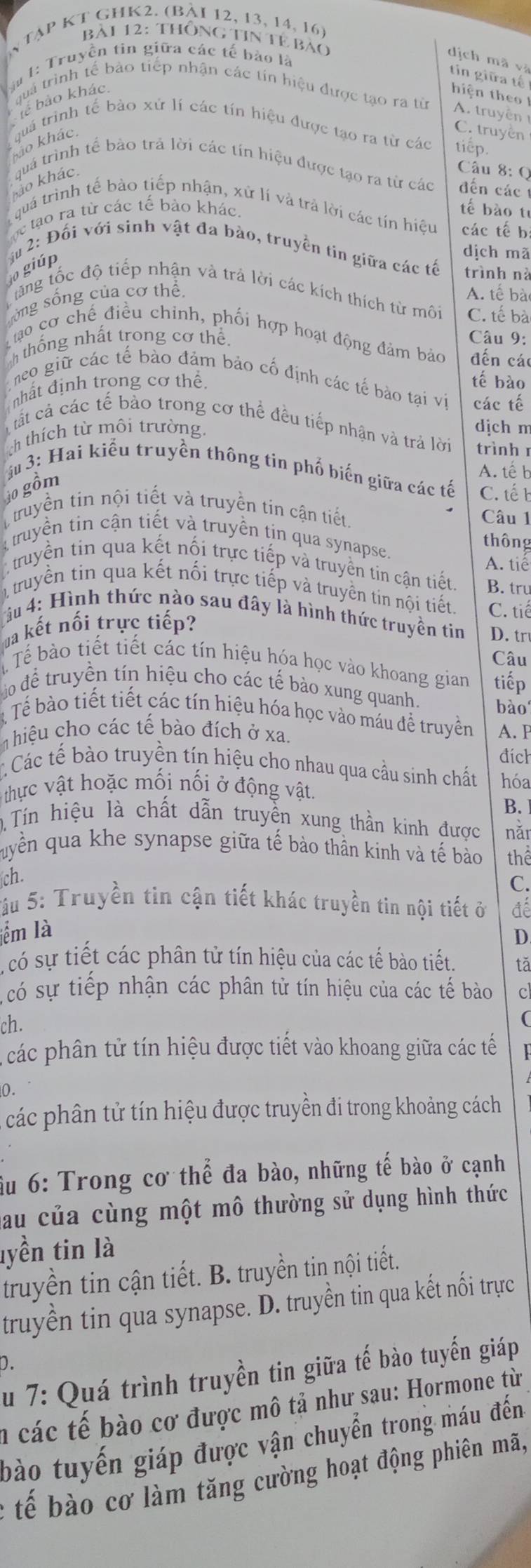 tập Kt GhK2. (Bài 12, 13, 14, 16)
bài 12: thông tin tẻ bào
u 1: Truyền tin giữa các tế bào là
dịch mã và
tin giữa tế 
hiện theo 
quả trình tế bảo tiếp nhận các tín hiệu được tạo ra từ A. truyền 
lể bảo khác.
C. truyền
bảo khác. quá trình tế bào xứ lí các tín hiệu được tạo ra từ các tiep.
Câu 8: Q
hảo khác. quá trình tế bào trả lời các tín hiệu được tạo ra từ các đến các 
quá trình tế bào tiếp nhận, xử lí và trả lời các tín hiệu các tế b:
The tạo ra từ các tế bảo khác. tế bào tu
dịch mã
o giúp  Ấ 2: Đối với sinh vật đa bào, truyền tin giữa các tế trình nà
tăng tốc độ tiếp nhận và trả lời các kích thích từ môi C. tế bà
sông sống của cơ thể
A. tế bà
Tạo cơ chế điều chinh, phối hợp hoạt động đảm bảo đến các
thống nhất trong cơ thể Câu 9:
neo giữ các tế bào đảm bảo cố định các tế bào tại vị các tế
nhất định trong cơ thể tế bào
djch m
ất cả các tế bào trong cơ thể đều tiếp nhận và trả lời trình r
h thích từ môi trường,
* 3: Hai kiểu truyền thông tin phố biến giữa các tế C. tế b
ả0 gồm
A. tếb
truyền tin nội tiết và truyền tín cận tiết
Câu 1
truyền tin cận tiết và truyền tin qua synapse.
thông
A. tiế
truyền tin qua kết nối trực tiếp và truyền tin cận tiết B. tru
truyền tin qua kết nối trực tiếp và truyền tin nội tiết. C. tiế
âu 4: Hình thức nào sau đây là hình thức truyền tin D. tr
va kết nối trực tiếp?
Câu
T Tế bào tiết tiết các tín hiệu hóa học vào khoang gian tiếp
áo để truyền tín hiệu cho các tế bảo xung quanh. bào
Tế bào tiết tiết các tín hiệu hóa học vào máu để truyền A. P
hiệu cho các tế bào đích ở xa.
đích
Các tế bào truyền tín hiệu cho nhau qua cầu sinh chất hóa
thực vật hoặc mối nối ở động vật.
B.
) Tín hiệu là chất dẫn truyền xung thần kinh được nǎr
quyền qua khe synapse giữa tế bào thân kinh và tế bào
ch. thể
C.
Sầu 5: Truyền tin cận tiết khác truyền tin nội tiết ở để
lểm là
D
s có sự tiết các phân tử tín hiệu của các tế bào tiết. tǎ
có sự tiếp nhận các phân tử tín hiệu của các tế bào
ch. cl
(
các phân tử tín hiệu được tiết vào khoang giữa các tế
0.
các phân tử tín hiệu được truyền đi trong khoảng cách
Su 6: Trong cơ thể đa bào, những tế bào ở cạnh
au của cùng một mô thường sử dụng hình thức
tyền tin là
truyền tin cận tiết. B. truyền tin nội tiết.
truyền tin qua synapse. D. truyền tin qua kết nối trực
D.
Su 7: Quá trình truyền tin giữa tế bào tuyến giáp
a các tế bào cơ được mô tả như sau: Hormone từ
bào tuyến giáp được vận chuyển trong máu đến
: tế bào cơ làm tăng cường hoạt động phiên mã,