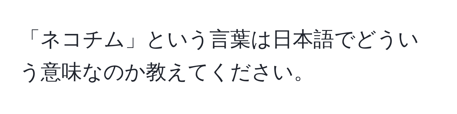 「ネコチム」という言葉は日本語でどういう意味なのか教えてください。