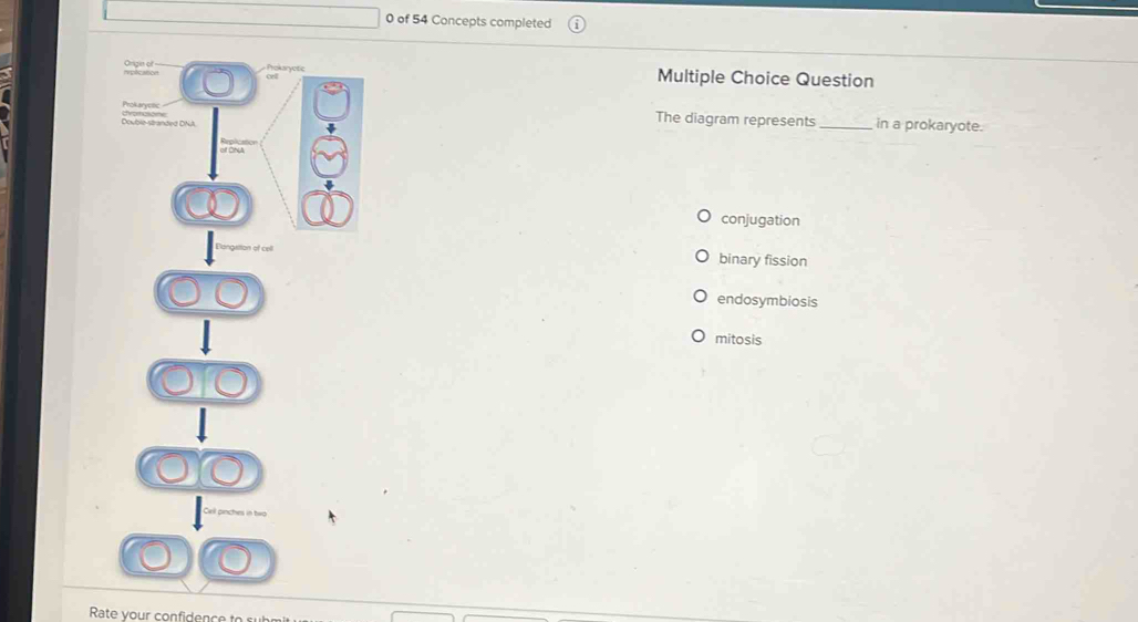 of 54 Concepts completed
Origen of Multiple Choice Question
The diagram represents_ in a prokaryote.
conjugation
binary fission
endosymbiosis
mitosis
Rate your confidence t