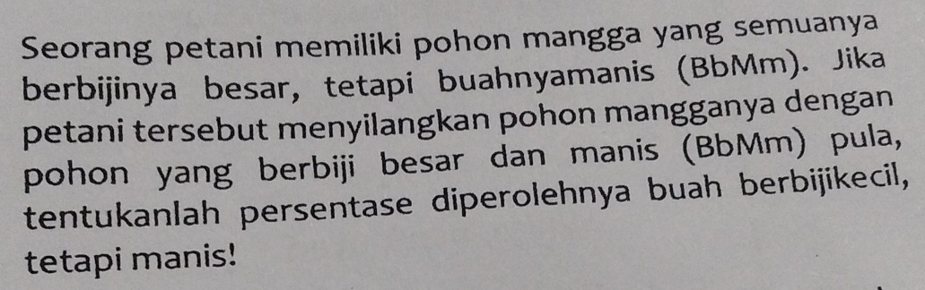 Seorang petani memiliki pohon mangga yang semuanya 
berbijinya besar, tetapi buahnyamanis (BbMm). Jika 
petani tersebut menyilangkan pohon mangganya dengan 
pohon yang berbiji besar dan manis (BbMm) pula, 
tentukanlah persentase diperolehnya buah berbijikecil, 
tetapi manis!