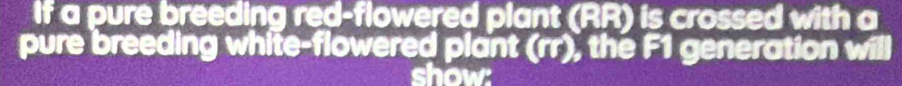 If a pure breeding red-flowered plant (RR) is crossed with a 
pure breeding white-flowered plant (rr), the F1 generation will 
show: