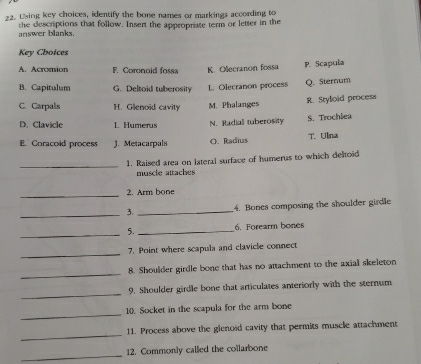 Using key choices, identify the bone names or markings according to
answer blanks. the descriptions that follow. Insert the appropriate term or letter in the
Key Choices
A. Acromion F. Coronoid fossa K. Oecranon fossa P. Scapula
B. Capitulum G. Deltoid tuberosity L. Olecranon process Q. Sternum
C. Carpals H. Glenoid cavity M. Phalanges R. Styloid process
D. Clavicle I. Humerus N. Radiall tuberosity S. Trochlea
E. Coracoid process J. Metacarpals O. Radius T. Ulna
_
1. Raised area on lateral surface of humerus to which deltoid
muscle attaches
_
2. Arm bone
_3._ 4. Bones composing the shoulder girdle
_5._ 6. Forearm bones
_
7. Point where scapula and clavicle connect
_
8. Shoulder girdle bone that has no attachment to the axial skeleton
_
9. Shoulder girdle bone that articulates anteriorly with the sternum
_
10. Socket in the scapula for the arm bone
_
11. Process above the glenoid cavity that permits muscle attachment
_12. Commonly called the collarbone