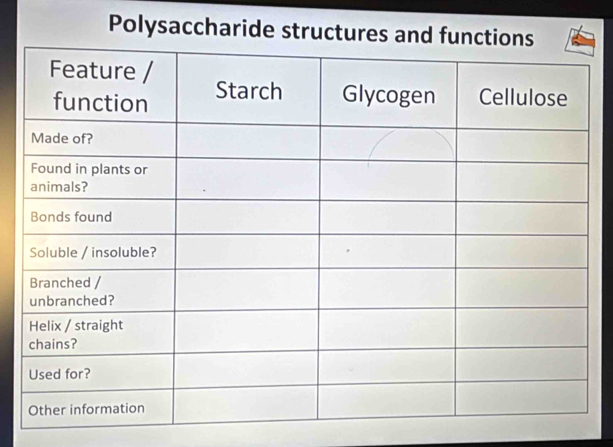 Polysaccharide structu