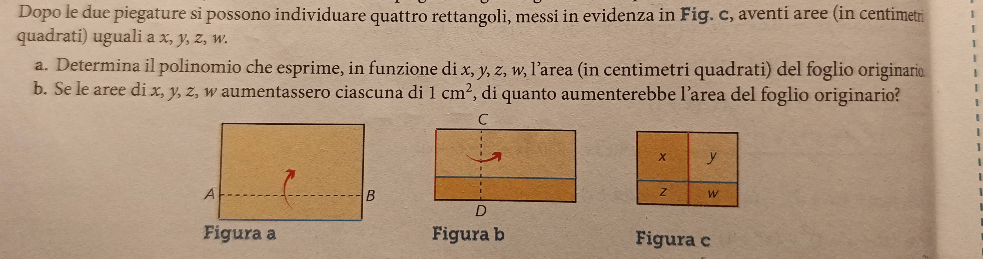 Dopo le due piegature si possono individuare quattro rettangoli, messi in evidenza in Fig. c, aventi aree (in centimetr 
quadrati) uguali a x, y, z, w. 
a. Determina il polinomio che esprime, in funzione di x, y, z, w, l’area (in centimetri quadrati) del foglio originario 
b. Se le aree di x, y, z, w aumentassero ciascuna di 1cm^2 , di quanto aumenterebbe l’area del foglio originario? 
Figura b Figura c