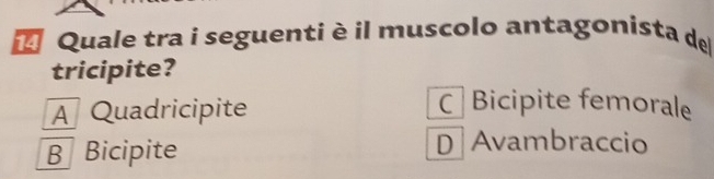 # Quale tra i seguenti è il muscolo antagonista de
tricipite?
A Quadricipite
CBicipite femorale
B Bicipite D Avambraccio