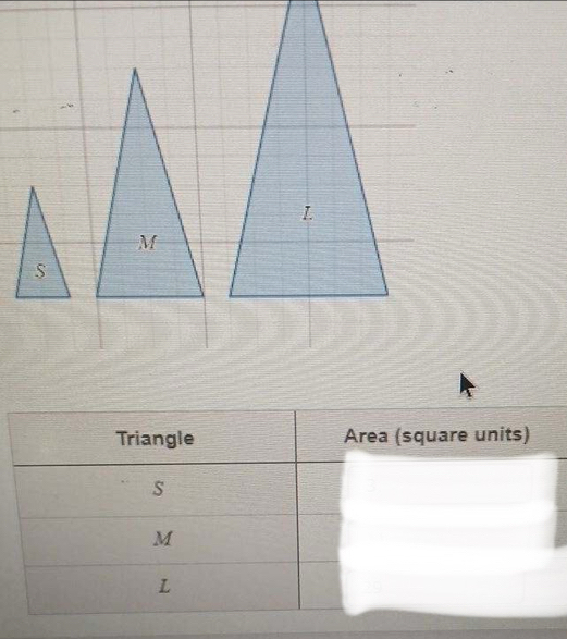 Triangle Area (square units)
s
M
L