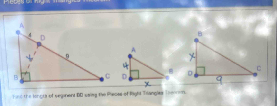 Pieces of Right mangies me 

Find the length of segment BD using the Pieces of Right Triangles Theorem.