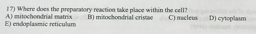 Where does the preparatory reaction take place within the cell?
A) mitochondrial matrix B) mitochondrial cristae C) nucleus D) cytoplasm
E) endoplasmic reticulum