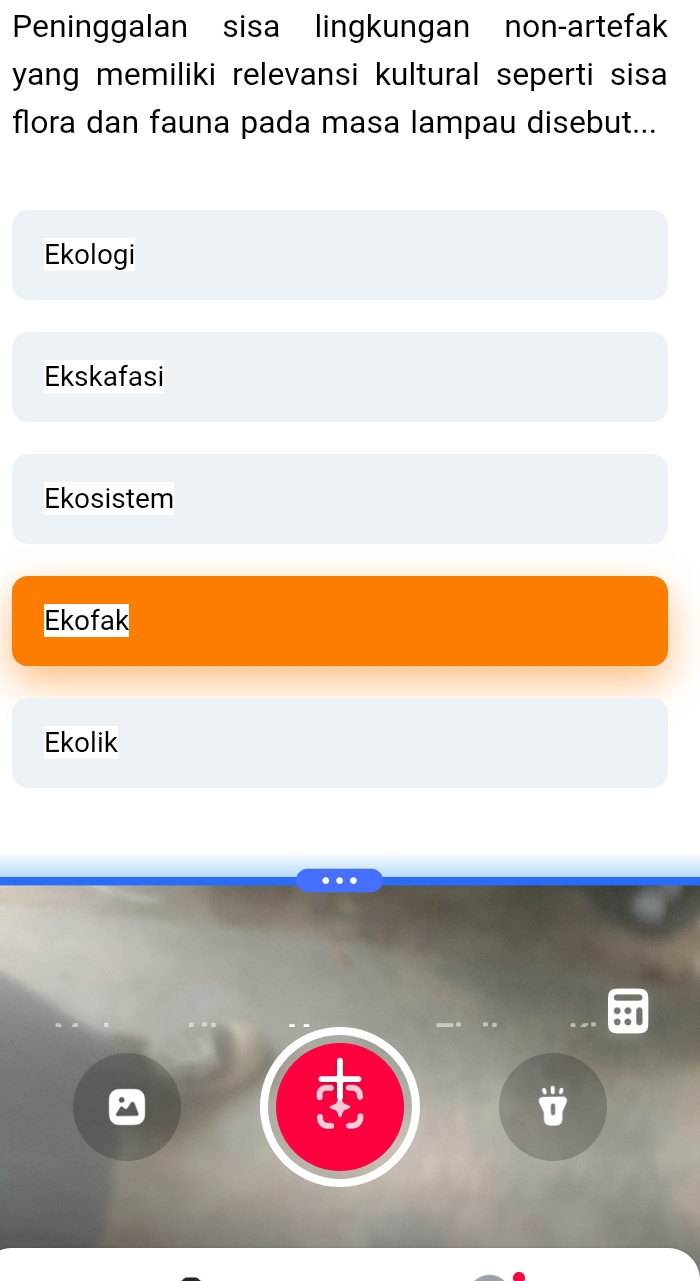 Peninggalan sisa lingkungan non-artefak
yang memiliki relevansi kultural seperti sisa 
flora dan fauna pada masa lampau disebut...
Ekologi
Ekskafasi
Ekosistem
Ekofak
Ekolik