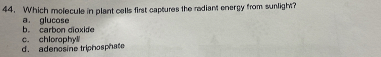 Which molecule in plant cells first captures the radiant energy from sunlight?
a. glucose
b. carbon dioxide
c. chlorophyll
d. adenosine triphosphate
