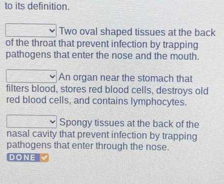 to its definition. 
Two oval shaped tissues at the back 
of the throat that prevent infection by trapping 
pathogens that enter the nose and the mouth. 
An organ near the stomach that 
filters blood, stores red blood cells, destroys old 
red blood cells, and contains lymphocytes. 
Spongy tissues at the back of the 
nasal cavity that prevent infection by trapping 
pathogens that enter through the nose. 
DONE