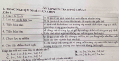 tràc nghiệm nhiêu lựa c Ôn tập kiểm tra e5 phút bài 28
u
h
t
i
Đấp ân nổi náo sau dây là
1· c>-ac.>-b.4c.S-d 6
A. 1-a; 2-c; 3-b; 4-c; 5-g 6 - f
B. bc2-bc3=4-t.5-ac6-d
C. 1-c; 2-b 3-a; 4-e; 5-d; 6 -f Tng tiền hoà, đột biển gene có vai trò nào sau đây?