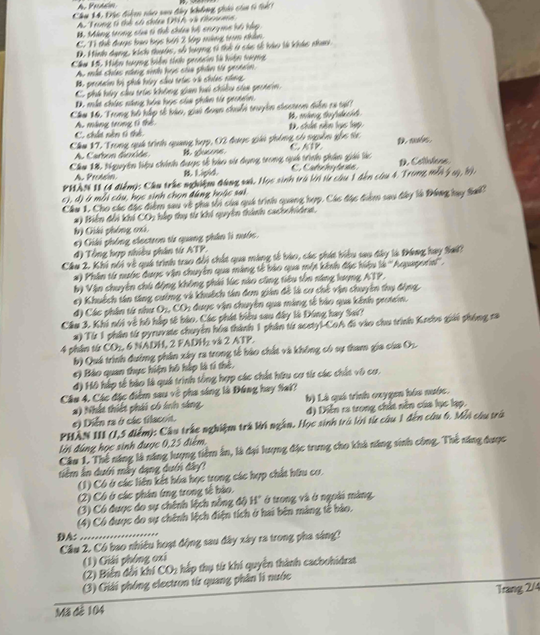 Chu 14, Đác tiêm náo sau tây không ga của 6 t
A Trong t thể có chím DN h và toua
B. Màng trong của t thổ chứa bộ cny mc hổ hàp
C. 11 thể duợc bao bọc bíh 2 lập máng tam nhân.
D. Minh dạng, kích thuớc, số lượng t thể ở các tễ kào là khác nhau
Cầâu 15. Hiện tuợng biên tính prưtơin là hiện tung
A. một chúc năng sinh hạc của phân từ proen.
B protein bị phá húy cầu trúc và chúc năng
C phú húy cầu trúc không gian hú chiều của priển,
D, mắt chức năng hóa học của phân từ proin.
Chu 16. Trong hộ háp tế bào, gii đoạn chuến truyền ciectrơn diễn 13 tái
A. máng trong t thể B. máng trnh chh
C. chút nên t thể. D, chất năn lục lạp
Chu 17, Trong quá trìn quang hợp, 02 được giá ghống có nguồn gốc tr D. mubs.
Carton Gelde C. A1B
Chu 18, Nguyên hiệu chính duợc tế bào sử dụng trong quả trình phần gii lá D. Cettctene
A Prouóín & Ligid Cate: bra
PHAN 1 (4 điểm): Cầu trác nghiệm đùng và. Học sinh trú ln từ câu 1 đến câu 4, Trong mề ý a) b 
c), d) à mỗi câu, học sinh chọn đúng hoặc sai.
Chu 1. Cho cáe the thêm sau về pha têi của quh triìnn quang hợp. Cáe the thêm sau tây là Đóng tuy Sal!
#) Biến đổi khí CO2 háp thụ từ khí quyền thànhh cachchiâma.
Gú phống cá
#) CGhi phòng clectron từ quang phân li nước,
đ) Tổng hợp nhiều phân từ ATP.
Cầu 2. Khi ni về quá trình trao đếi chất qua màng tế bào, các phát biểu sao đây là Đong hay Sa?
2) Phân từ nước đuợc vận chuyền qua màng tế bào qua một kênh đặc hiệu là ''Aquapord''.
b) Vận chuyển chú động không phín lúc nào công tiêu tồn năng lượng ATP,
c) Khuếch tân tăng cường và khuếch tân đơn gián đề là cơ chế vận chuyên thụ động
đ) Các phân từ như O2, CO2 đuợc vận chuyên qua màng tế bảo qua kênh proten
Câu 3, Khi nói về hộ hắp tế bào. Các phát biểu sau đây là Đóng hay Sai?
2) Từ 1 phân từ pyruvate chuyền hóa thành 1 phân từ acetyl-CoA đi vào chu trình Krébs giải phòng ra
4 phần từ COz, 6 NADH, 2 FADHz và 2 ATP.
b) Quá trình đường phân xây ra trong tế bào chất và không có sự tham gia của O2
e) Bảo quan thực hiện hô hắp là tí thể,
đ) Hộ hắp tế bào là quá trình tổng hợp các chất hữu cơ từ các chất vô cơ,
Câu 4, Các đặc điểm sau về pha sáng là Đúng hay %ai?
2) Nhất thiết phíi có bín sang b) Là quá trình oxygen hóa nước.
e) Diễn ra ở cáe Macon. d) Diễn ra trong chất nền của lục lạp.
PHẤN III (1,5 điểm): Cầu tráe nghiệm trá lời ngần. Học sinh trò lời từ câu 1 đến cầu 6. Mỗi cứu trò
dn đúng học sinh được 0,25 điểm,
Câu 1. Thế năng là năng lượng tiềm ẫn, là đại lượng đặc trung cho khả năng sinh công. Thế năng được
iêm ấn duth mẫy dạng duth dây)
(1) Có ở các liên kết hóa học trong các hợp chất hữu cơ.
(2) Có ở các phần (g trong tế bảo,
(3) Có đuợc do sự chênh lệch nông độ H° ở trong và ở ngoài màng
(4) Có được do sự chênh lệch điện tích ở hai bên màng tế bảo.
DA: ...................
Cầu 2, Có bao nhiều hoạt động sau đây xây ra trong pha sáng?
(1) Giải phòng oxi
(2) Biến đối khí CO2 hắp thụ từ khí quyền thành cacbohidrat
(3) Giải phóng electron từ quang phân lí nước
Trang 2/4
Mã đễ 104