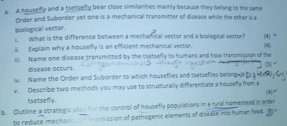 A housefly and a tsetsefly bear close similarities mainly because they belong to the same 
Order and Suborder yet one is a mechanical transmitter of disease while the other is a 
biological vector. 
i. What is the difference between a mechanical vector and a biological vector? (4) 
ii. Explain why a housefly is an efficient mechanical vector. (4) 
iii. Name one disease transmitted by the tsetsefly to humans and how transmission of the 
(3) 
disease occurs. 
iv. Name the Order and Suborder to which houseflies and tsetseflies belong 
v. Describe two methods you may use to structurally differentiate a housefly from a 
tsetsefly. (4) 
b. Outline a strategic plan for the control of housefly populations in a rural homestead in order 
to reduce mechanioal transmission of pathogenic elements of disease into human food. (3)