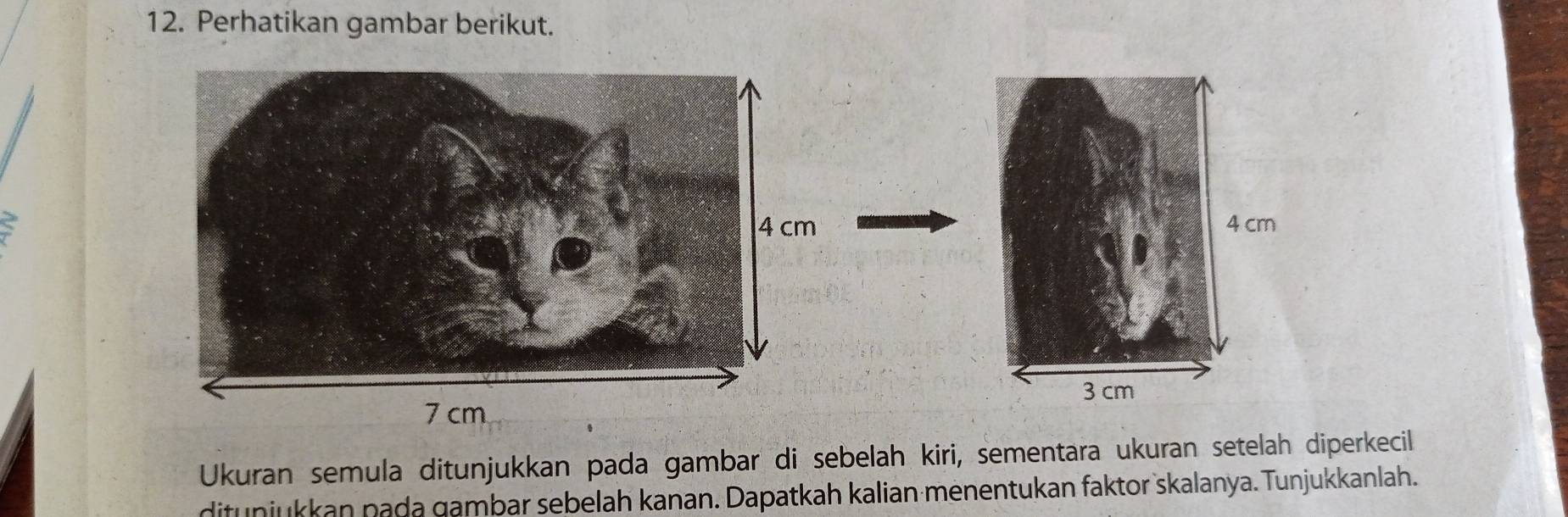 Perhatikan gambar berikut. 
Ukuran semula ditunjukkan pada gambar di sebelah kiri, sementara ukuran setelah diperkecil 
ditunjukkan pada gambar sebelah kanan. Dapatkah kalian menentukan faktor skalanya. Tunjukkanlah.