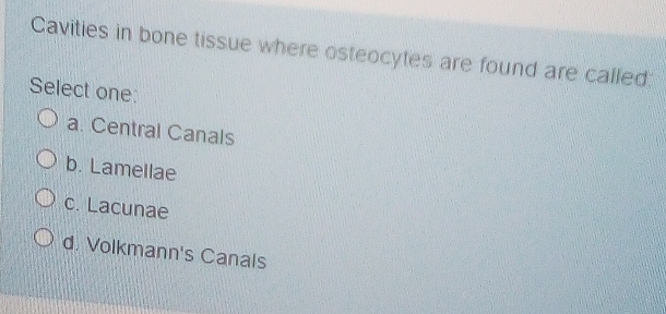 Cavities in bone tissue where osteocytes are found are called:
Select one:
a. Central Canals
b. Lamellae
c. Lacunae
d. Volkmann's Canals