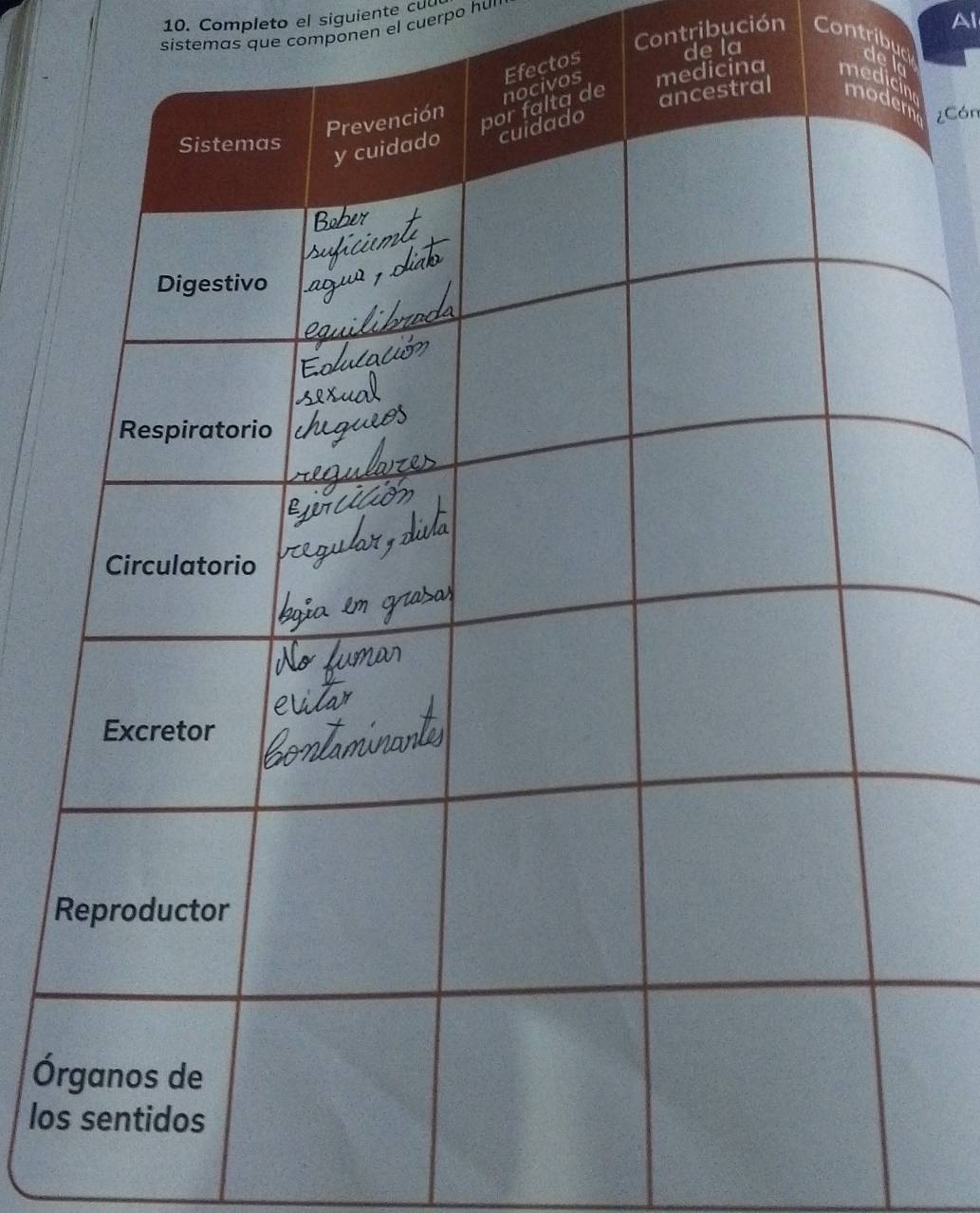 Completo el siguiente cu 
sistemas que componen el cuerpo hui 
de la Al 
Contribución Contribuc 
os de 
¿Cón 
Ó 
lo