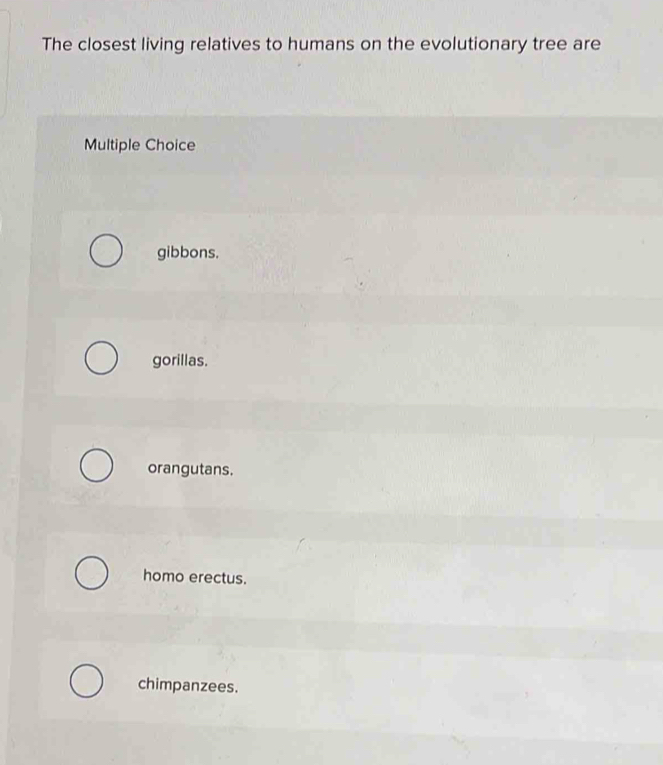 The closest living relatives to humans on the evolutionary tree are
Multiple Choice
gibbons.
gorillas.
orangutans.
homo erectus.
chimpanzees.