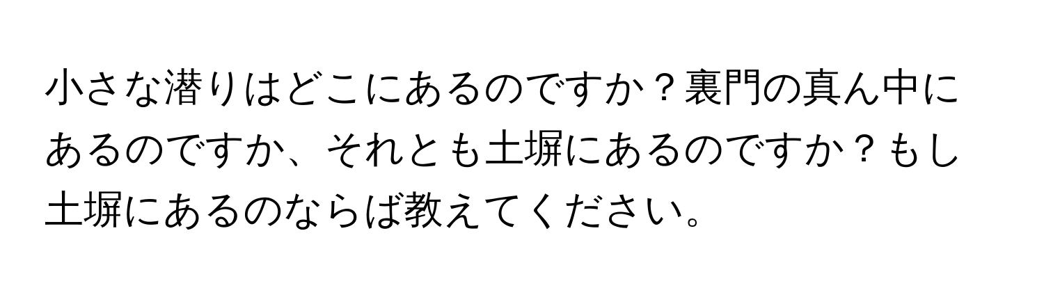 小さな潜りはどこにあるのですか？裏門の真ん中にあるのですか、それとも土塀にあるのですか？もし土塀にあるのならば教えてください。