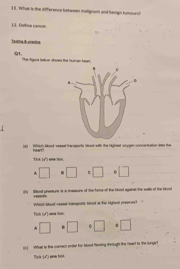 What is the difference between malignant and benign tumours?
12. Define cancer.
Testing & practice
Q1.
The figure below shows the human heart.
(a) Which blood vessel transports blood with the highest oxygen concentration into the
heart?
Tick (√) one box.
A □ B □ C □ D □ 
(b) Blood pressure is a measure of the force of the blood against the walls of the blood
vessals.
Which blood vessei transports blood at the highest pressure?
Tick (√) one box.
A □ B □ C □ D □ 
(c) What is the correct order for blood flowing through the heart to the lungs?
Tick (√) one box.