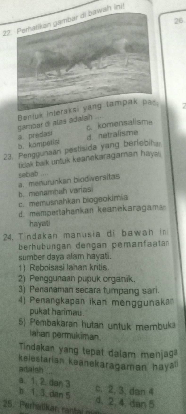 Perhatikan gambar di bawah ini
Bentuk in
2
gambar di atas adalah ....
c. komensalisme
a. predasi
b. kompetisi d. netralisme
23, Penggunaan pestisida yang berlebihan
tidak baik untuk keanekaragaman hayal 
sebab ....
a. menurunkan biodiversitas
b. menambah variasi
c. memusnahkan biogeokimia
d. mempertahankan keanekaragama
hayati
24. Tindakan manusia di bawah in
berhubungan dengan pemanfaatan
sumber daya alam hayati.
1) Reboisasi Iahan kritis.
2) Penggunaan pupuk organik.
3) Penanaman secara tumpang sari.
4) Penangkapan ikan menggunaka？
pukat harimau.
5) Pembakäran hutan untuk membuka
lahan permukiman.
Tindakan yang tepat dalam menjag
kelestarian keanekaragaman hayat 
adalah ....
a. 1, 2. dan 3 c. 2, 3, dan 4
b. 1, 3, dan 5 d. 2, 4, dan 5
25. Perhatikan rantai ma