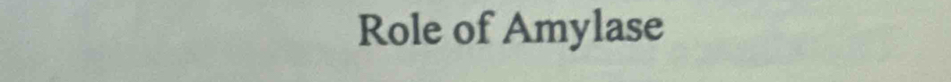 Role of Amylase