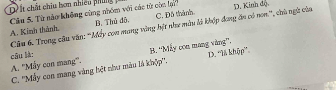 De t chắt chiu hơn nhiều phung p
Câu 5. Từ nào không cùng nhóm với các từ còn lại? D. Kinh độ.
A. Kinh thành. B. Thủ đô. C. Đô thành.
Câu 6. Trong câu văn: “Mấy con mang vàng hệt như màu lá khộp đang ăn cỏ non.”, chủ ngử của
A. "Mấy con mang”. B. “Mấy con mang vàng”.
câu là:
C. "Mấy con mang vàng hệt như màu lá khộp'. D. “lá khộp”.