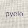 pyelo