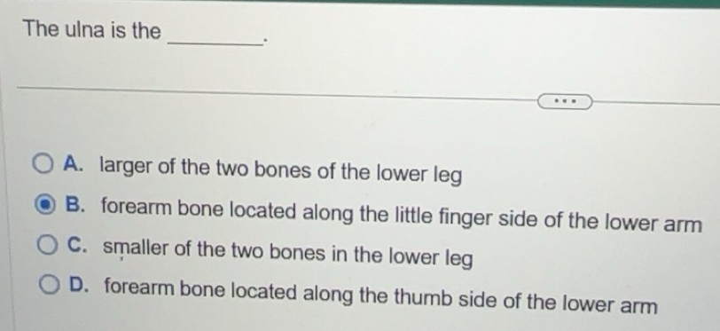 Solved: The ulna is the _ A. larger of the two bones of the lower leg B ...