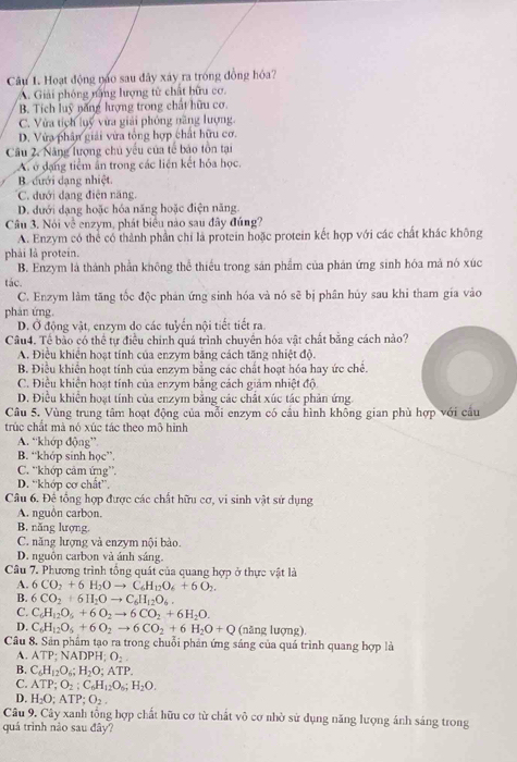 Hoạt động náo sau dây xây ra tróng đồng hóa?
A. Giải phóng năng lượng tử chất hữu cơ.
B. Tích luỹ năng hượng trong chất hữu cơ.
C. Vừa tích luý vừa giải phóng năng lượng.
D. Vừa phân giải vừa tổng hợp chất hữu cơ.
Câu 2. Năng lượng chủ yếu của tế báo tồn tại
A. ở dạng tiểm ấn trong các liên kết hỏa học.
B. đưới dạng nhiệt
C. đưới dạng điện năng.
D. dưới dạng hoặc hóa năng hoặc điện năng.
Câu 3. Nói về enzym, phát biểu nào sau đây đúng?
A. Enzym có thể có thành phần chỉ là protein hoặc protein kết hợp với các chất khác không
phải là protein.
B. Enzym là thành phần không thể thiếu trong sản phẩm của phản ứng sinh hóa mả nó xúc
tác.
C. Enzym làm tăng tốc độc phản ứng sinh hóa và nó sẽ bị phân hủy sau khi tham gia vào
phán ứng.
D. Ở động vật, enzym do các tuyển nội tiết tiết ra.
Câu4. Tế bào có thể tự điều chính quá trình chuyên hóa vật chất bằng cách nào?
A. Điều khiển hoạt tính của enzym băng cách tăng nhiệt độ.
B. Điều khiển hoạt tính của enzym bằng các chất hoạt hóa hay ức chế.
C. Điều khiển hoạt tính của enzym băng cách giám nhiệt độ
D. Điều khiển hoạt tính của enzym bằng các chất xúc tác phản ứng.
Câu 5. Vùng trung tâm hoạt động của mỗi enzym có cầu hình không gian phù hợp với cầu
trúc chất mà nó xúc tác theo mô hình
A. “khớp động”
B. “khớp sinh học”.
C. ''khớp cảm ứng''.
D. “khớp cơ chất”.
Câu 6. Đê tổng hợp được các chất hữu cơ, vi sinh vật sử dụng
A. nguôn carbon.
B. năng lượng.
C. năng lượng và enzym nội bào.
D. nguôn carbon và ánh sáng.
Câu 7. Phương trình tổng quát của quang hợp ở thực vật là
A. 6CO_2+6H_2Oto C_6H_12O_6+6O_2.
B. 6CO_2+6H_2Oto C_6H_12O_6.
C. C_6H_12O_5+6O_2to 6CO_2+6H_2O.
D. C_6H_12O_6+6O_2to 6CO_2+6H_2O+Q (năng lượng).
Câu 8. Sản phẩm tạo ra trong chuỗi phản ứng sáng của quả trình quang hợp là
A. ATP;NADPH;O_2.
B. C_6H_12O_6;H_2O;ATP.
C. ATP;O_2;C_6H_12O_6;H_2O.
D. H_2O;ATP;O_2,
Câu 9. Cây xanh tổng hợp chất hữu cơ từ chất vô cơ nhờ sử dụng năng lượng ánh sáng trong
quá trình nào sau đây?