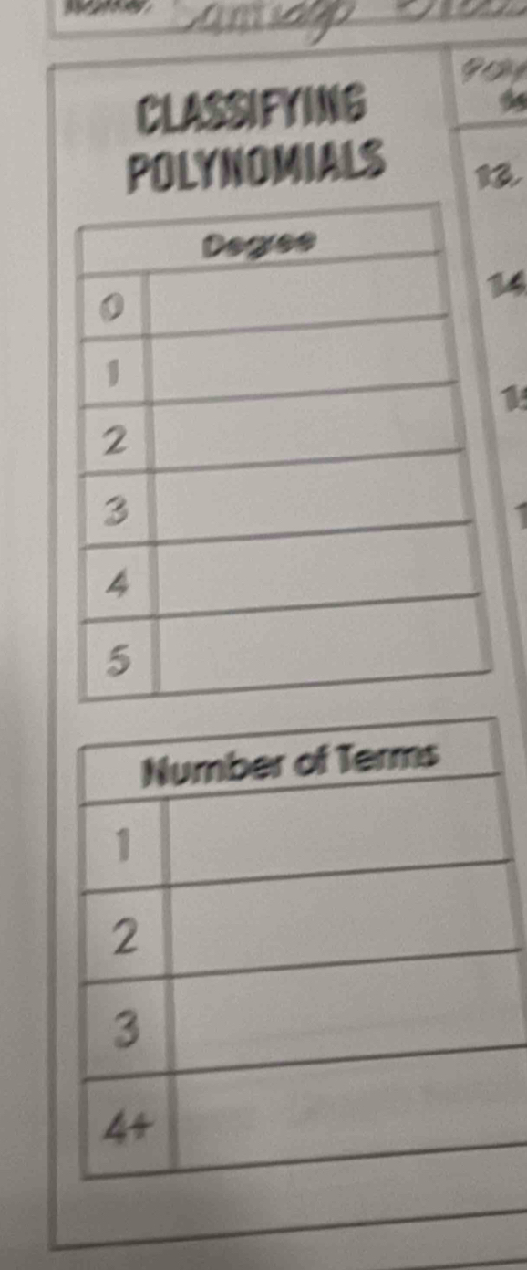 CLASSIFYING 
POLYNOMIALS
4
1
