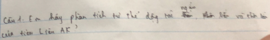 cáu 1. Em Máy phàn tich fù the dāg roè 15° ,Rhān Rǎn v chàn hà 
cain fiàm Liàn AK?