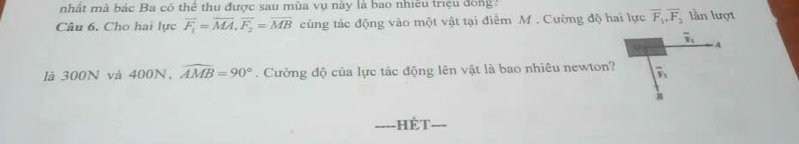 nhất mà bác Ba có thể thu được sau mùa vụ này là bao nhiều triệu đồng? 
Câu 6. Cho hai lực overline F_1=overline MA, overline F_2=overline MB cùng tác động vào một vật tại điểm M. Cường độ hai lực overline F_1, overline F_2 lần lượt
overline v_1
A 
là 300N và 400N. widehat AMB=90°. Cường độ của lực tác động lên vật là bao nhiêu newton? overline F_1
B 
Hét