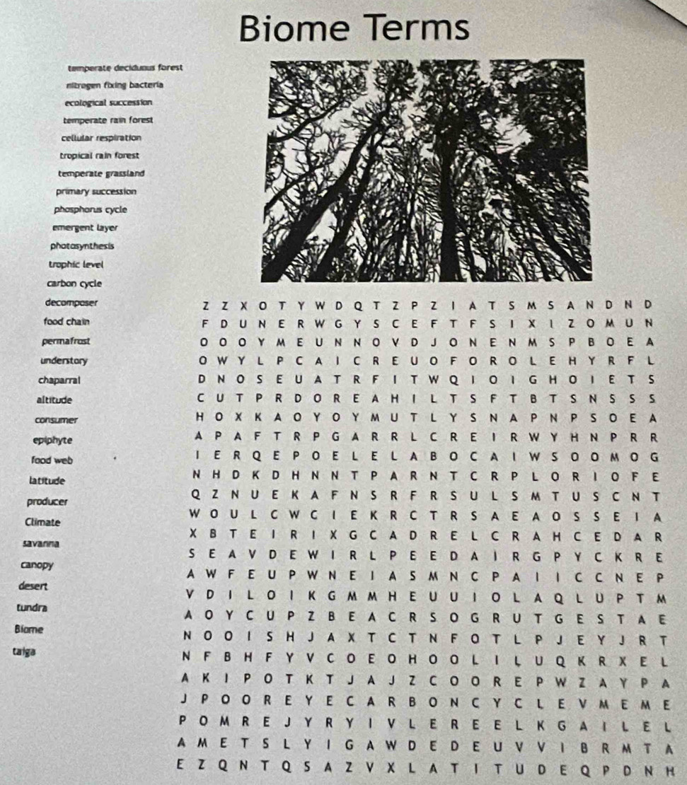 Biome Terms
temperate decidunus forest
nitrogen fixing bacteria
ecological succession
temperate rain forest
cellular respiration
tropical rain forest
temperate grassland
primary succession
phaspharus cycle
emergent layer
photasynthesis
trophic level
carbon cycle
decomposer Z Z X O T Y W D Q T Z P Z I A T S M S A N D N D
food chain F D U N E R W GY S CE F T F S I X I Z O M U N
permafrost O O O YME U N N O VD JO N E N M S P BO E A
understory O W Y LP C A I C R E U O F O R O L E H Y R F L
chaparral DN O S E U AT RF I T W Q O I G HO IE T S
altitude C U T P R D O R EA H I L T S F T BT S NS S S
consumer HO X K AOYO Y MU T LYSNA P N P S O E A
epiphyte A P A F T R P GA R R L C R E I R W Y H N P R R
food web I E R Q EP O E L EL A BO C A I W S O O M OG
latitude
N H D K D H N N T P AR NT C R P L O R I O F E
producer
Q ZN U E K A F N S RFRS U L S M T US C N T
W O U L C WC IE K R C T R S A E A OSS E IA
Climate
X B T E I R I X G C A D R E L C R A H C E D A R
savarna
S E A V D E W I R L P E E D A I R G P Y C K R E
canopy A W F E U P W N E I AS M N C P A I I C C N E P
desert V D I L OI K G M M HE U U I O LA Q L U P T M
tundra A O Y C UP Z B E AC R S OG R U T G E S T A E
Biome N O O I S H J A X T C T N F O T L P J E Y J R T
taiga N F B H F Y V C O E OH OO L I L U Q K R X E L
A K I P O T K T J A J Z C O O R E P W Z A Y P A
J P O O R E Y E C A R B O N C Y C L E V M EM E
P O M R E J Y R Y I V L E R E E L K G A I L E L
AM E T S L Y I G AW D E D E U V V I B RM T A
E Z Q N T Q S A Z V X L  A T I T U D E Q P D N H