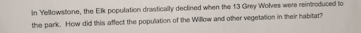 In Yellowstone, the Elk population drastically declined when the 13 Grey Wolves were reintroduced to 
the park. How did this affect the population of the Willow and other vegetation in their habitat?