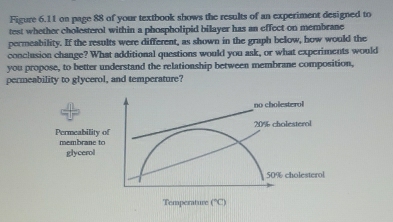 Figure 6.11 on page 88 of your textbook shows the results of an experiment designed to
test whether cholesterol within a phospholipid bilayer has an effect on membrane
permeability. If the results were different, as shown in the graph below, how would the
conclusion change? What additional questions would you ask, or what experiments would
you propose, to better understand the relationship between membrane composition,
permeability to glycerol, and temperature?