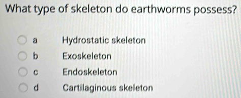 Solved: What type of skeleton do earthworms possess? a Hydrostatic ...