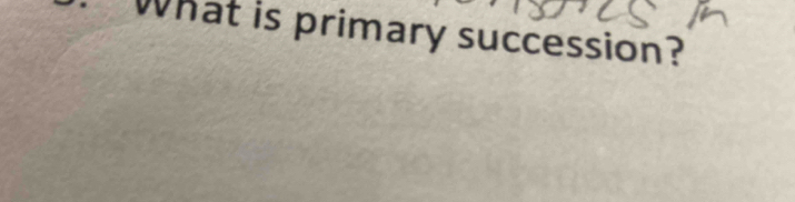 What is primary succession?