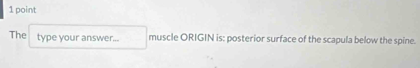 The type your answer... muscle ORIGIN is: posterior surface of the scapula below the spine.