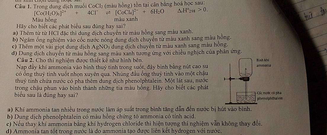 Trong dung dịch muối CoCl₂ (màu hồng) tồn tại cân bằng hoá học sau:
[Co(H_2O)_6]^2++4Cl^-leftharpoons [CoCl_4]^2-+6H_2O △ _rH°_298>0.
Màu hồng màu xanh
Hãy cho biết các phát biểu sau dúng hay sai?
a) Thêm từ từ HCl đặc thì dung dịch chuyền từ màu hồng sang màu xanh.
b) Ngâm ống nghiệm vào cốc nước nóng dung dịch chuyên từ màu xanh sang màu hồng.
c) Thêm một vài giọt dung dịch AgNO_3 dung dịch chuyển từ màu xanh sang màu hồng.
d) Dung dịch chuyển từ màu hồng sang màu xanh tương ứng với chiều nghịch của phản ứng.
Câu 2. Cho thí nghiệm được thiết kế như hình bên. 
Nạp đầy khí ammonia vào bình thuỷ tinh trong suốt, đậy bình bằng nút cao su
có ống thuỷ tinh vuốt nhọn xuyên qua. Nhúng đầu ống thuỷ tinh vào một chậu
thuỷ tinh chứa nước có pha thêm dung dịch phenolphtalein. Một lát sau, nước
trong chậu phun vào bình thành những tia màu hồng. Hãy cho biết các phát
biểu sau là đúng hay sai?
a) Khí ammonia tan nhiều trong nước làm áp suất trong bình tăng dẫn đến nước bị hút vào bình.
b) Dung dịch phenolphtalein có màu hồng chứng tỏ ammonia có tính acid.
c) Nếu thay khí ammonia bằng khí hydrogen chloride thì hiện tượng thí nghiệm vẫn không thay đổi.
d) Ammonia tan tốt trong nước là do ammonia tạo được liên kết hydrogen với nước.