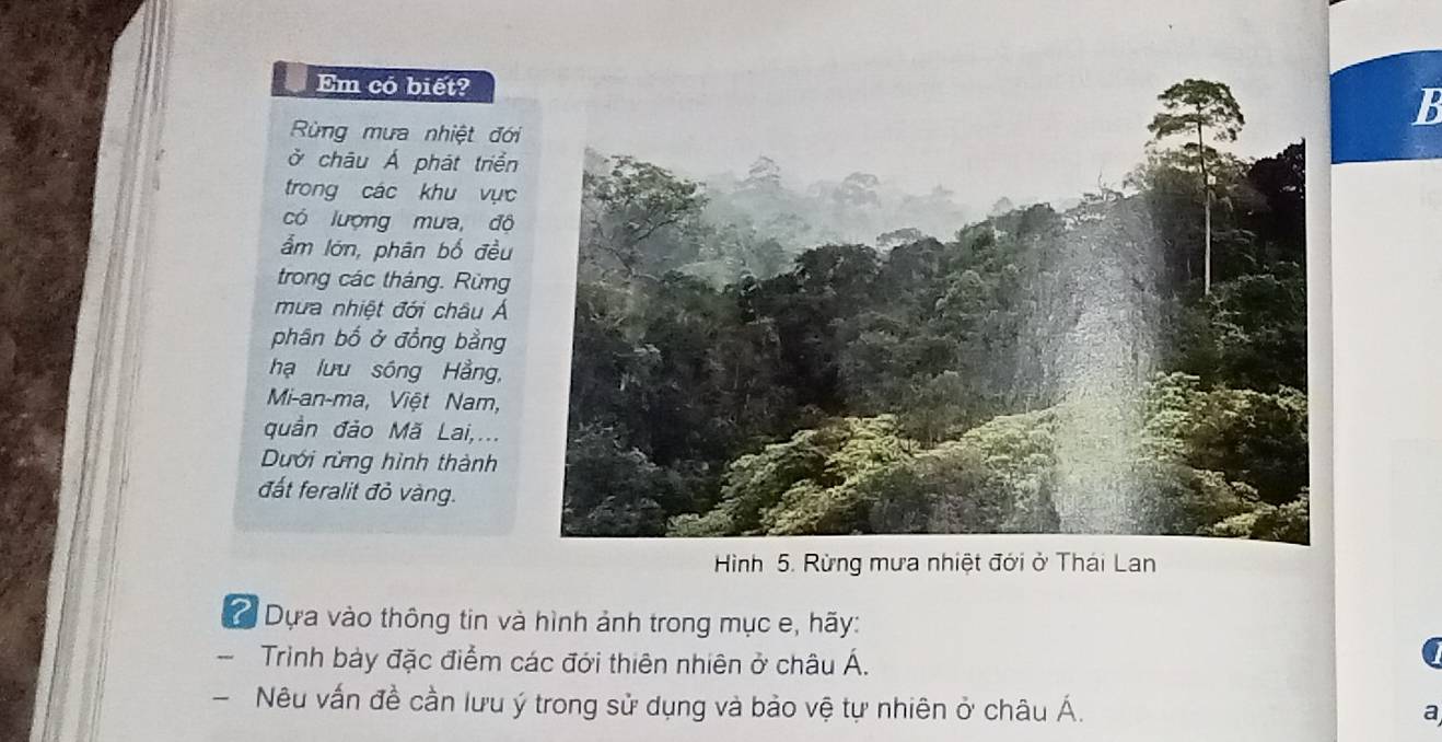 Em có biết?B 
Rừng mưa nhiệt đới 
ở châu Á phát triển 
trong các khu vực 
có lượng mua, độ 
ẩm lớn, phân bố đều 
trong các tháng. Rừng 
mưa nhiệt đới châu Á 
phân bố ở đồng bằng 
hạ lưu sóng Hằng, 
Mi-an-ma, Việt Nam, 
quần đảo Mã Lai,... 
Dưới rừng hình thành 
đất feralit đỏ vàng. 
Hình 5. Rừng mưa nhiệt đới ở Thái Lan 
* Dựa vào thông tin và hình ảnh trong mục e, hãy: 
Trinh bày đặc điểm các đới thiên nhiên ở châu Á. 
Nêu vấn đề cần lưu ý trong sử dụng và bảo vệ tự nhiên ở châu Á. 
a