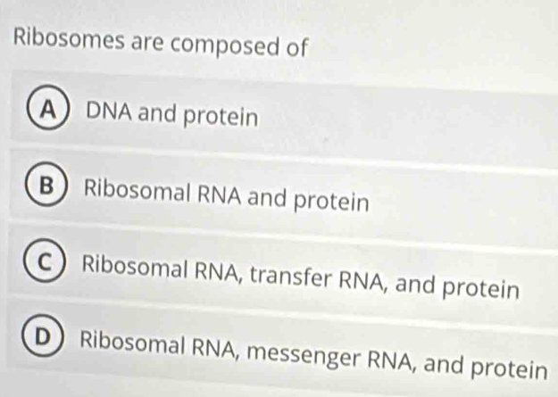 Ribosomes are composed of
A DNA and protein
B Ribosomal RNA and protein
C Ribosomal RNA, transfer RNA, and protein
D Ribosomal RNA, messenger RNA, and protein