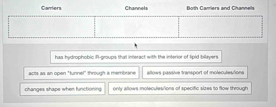 Carriers Channels Both Carriers and Channels
has hydrophobic R-groups that interact with the interior of lipid bilayers
acts as an open "tunnel" through a membrane allows passive transport of molecules/ions
changes shape when functioning only allows molecules/ions of specific sizes to flow through