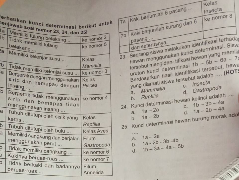 las
Perh
henj
la 
b 
2a 
a
hewan mew
tersebut mengiden- tifikasiii
b 
urutan kunci determinasi 1b-5b-6a-7
a 
Berdasarkan hasil identifikasi tersebut, hewa
yang diamati siswa tersebut adalah …. (HOT:
c. Insecta
d. Gastropoda
a. Mammalia
b b. Reptilia
4. Kunci determinasi hewan kelinci adalah ....
a. 1a-2a C. 1b-3b-4a
b. 1a-2b
d. 1a-2b-4a
a
k
5. Kunci determinasi hewan burung merak ada
b … 1a-2a
a 
a.
b. 1a-2b-3b-4b
b d. 1b-3a-4a-5b
a 
D 
...
Annelida